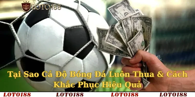 Tại sao cá độ bóng đá luôn thua